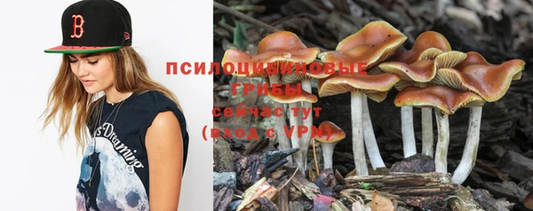MDMA Дмитров