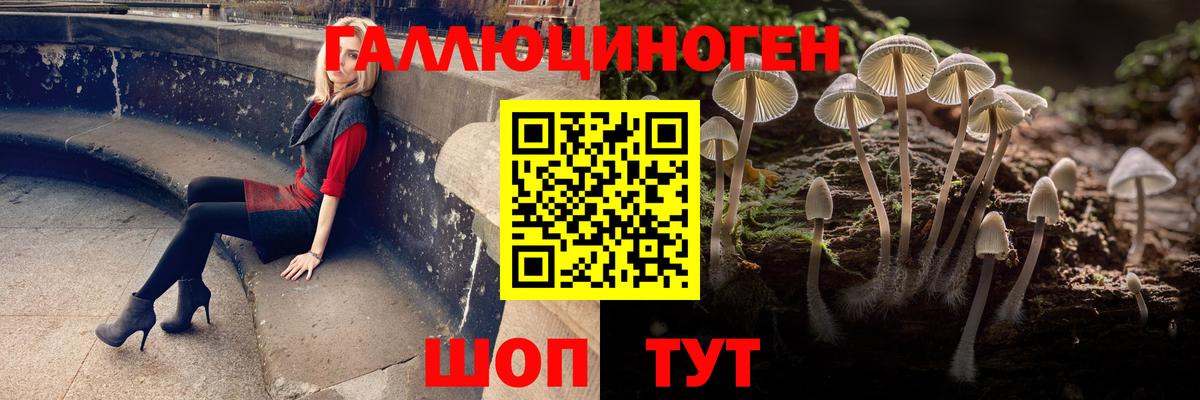 Галлюциногенные грибы Cubensis Пыть-Ях